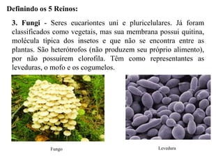 Definindo os 5 Reinos:
 3. Fungi - Seres eucariontes uni e pluricelulares. Já foram
 classificados como vegetais, mas sua membrana possui quitina,
 molécula típica dos insetos e que não se encontra entre as
 plantas. São heterótrofos (não produzem seu próprio alimento),
 por não possuírem clorofila. Têm como representantes as
 leveduras, o mofo e os cogumelos.




             Fungo                              Levedura
 
