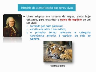 História da classificação dos seres vivos 
 Lineu adoptou um sistema de regras, ainda hoje 
utilizado, para organizar o nome da espécie de um 
ser vivo: 
o formada por duas palavras; 
o escrito em latim e em itálico; 
o o primeiro termo refere-se à categoria 
taxonómica anterior à espécie, ou seja ao 
Género. 
Panthera tigris 
 