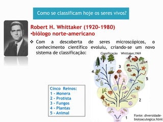 Como se classificam hoje os seres vivos? 
Robert H. Whittaker (1920–1980) 
•biólogo norte-americano 
 Com a descoberta de seres microscópicos, o 
conhecimento científico evoluiu, criando-se um novo 
sistema de classificação: 
Cinco Reinos: 
1 - Monera 
2 - Protista 
3 - Fungos 
4 - Plantas 
5 - Animal 
Fonte: diversidade-bioloacutegica. 
html 

