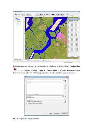 Posteriormente às coletas e à estruturação da tabela de atributos, abra a ArcToolBox
e vá a Spatial Analyst Tools > Multivariate > Create Signatures para
transformar seu vetor em estatística para a classificação. Sua tela deve estar assim:
Dê Ok a aguarde o processamento.
 