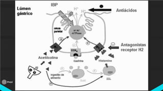 Classificação terapeutica