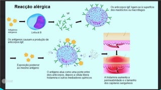 Classificação terapeutica