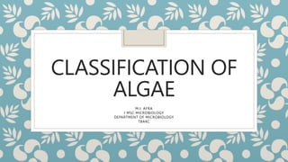 CLASSIFICATION OF
ALGAE
M.J. AFRA
I MSC MICROBIOLOGY
DEPARTMENT OF MICROBIOLOGY
TBAKC
 