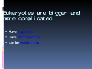 Eukaryotes are bigger and more complicated Have  organelles Have  chromosomes can be  multicellular 