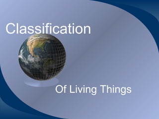 Classification Of Living Things 