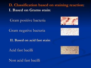 D. Classification based on staining reaction : I. Based on Grams stain :  Gram positive bacteria Gram negative bacteria II. Based on acid fast stain : Acid fast bacilli Non acid fast bacilli 