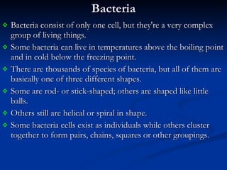 Bacteria Bacteria consist of only one cell, but they're a very complex group of living things.  Some bacteria can live in temperatures above the boiling point and in cold below the freezing point.  There are thousands of species of bacteria, but all of them are basically one of three different shapes.  Some are rod- or stick-shaped; others are shaped like little balls.  Others still are helical or spiral in shape.  Some bacteria cells exist as individuals while others cluster together to form pairs, chains, squares or other groupings. 