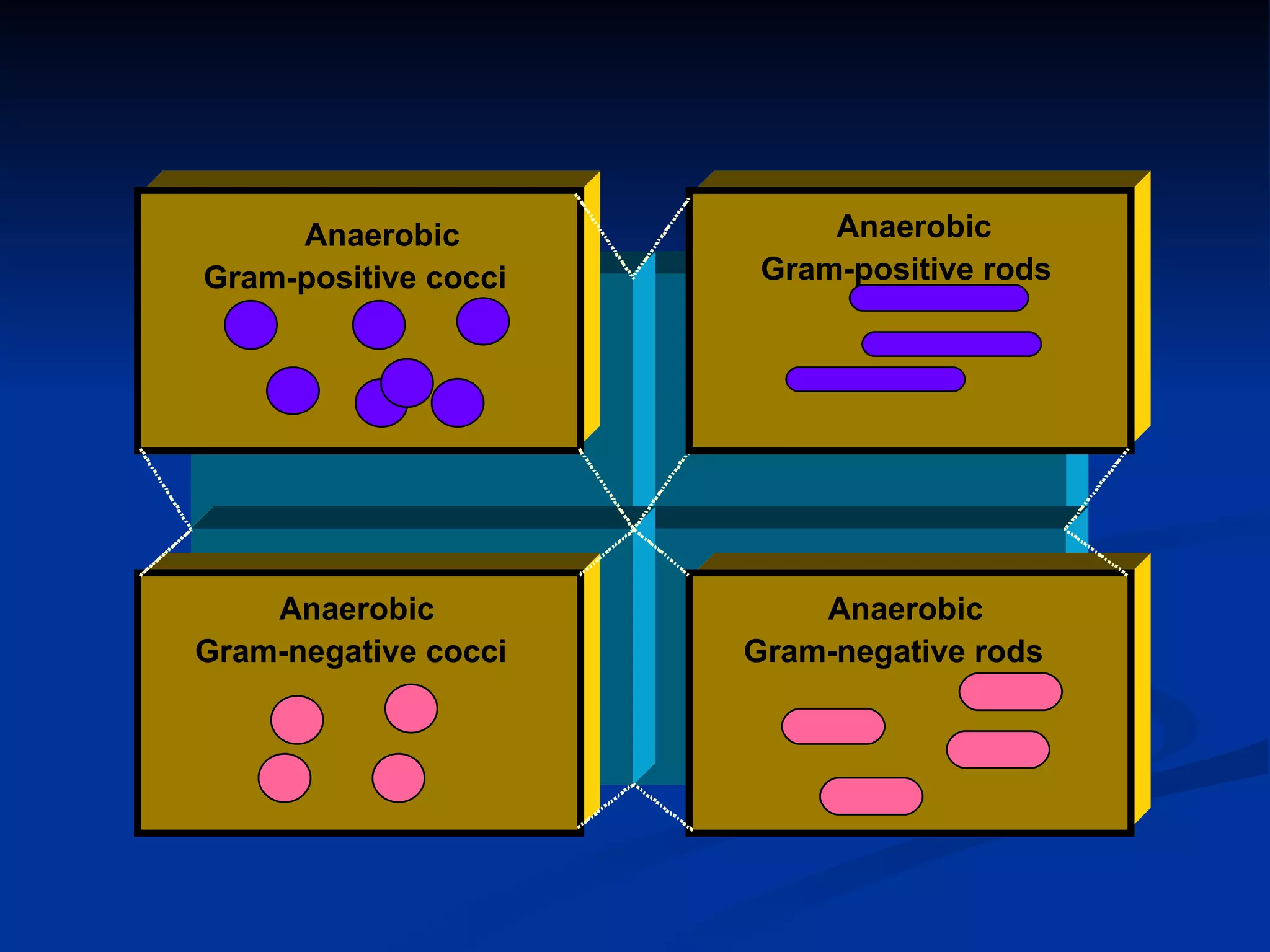 Gram-positive  cocci Anaerobic Gram-positive rods Anaerobic Gram-negative rods Anaerobic Gram-positive cocci Anaerobic Gram-negative cocci 