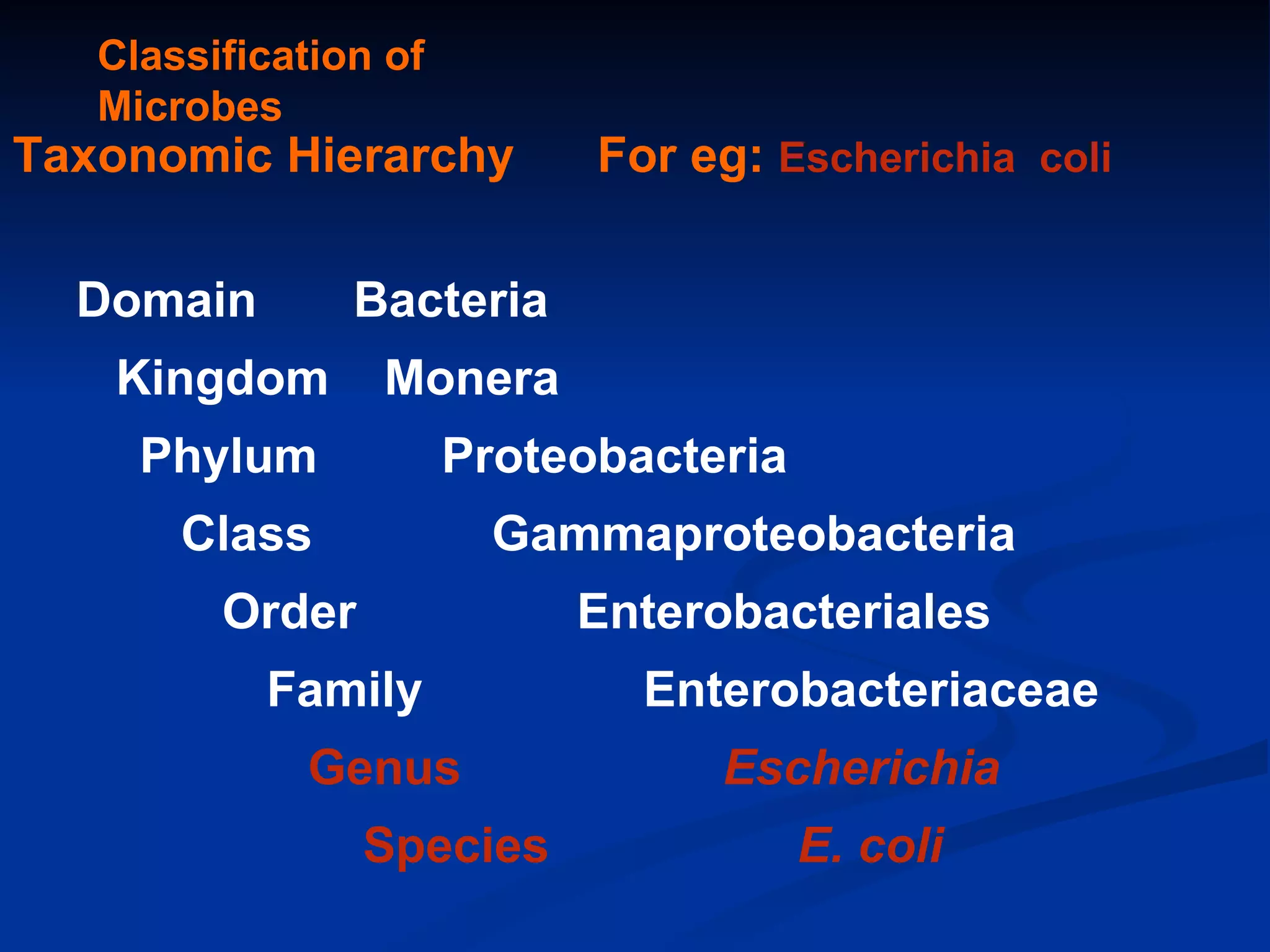 Classification of Microbes Taxonomic Hierarchy  For eg:  Escherichia  coli Domain  Bacteria  Kingdom  Monera Phylum  Proteobacteria   Class  Gammaproteobacteria   Order  Enterobacteriales Family  Enterobacteriaceae   Genus  Escherichia   Species  E. coli 