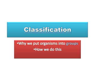 Classification ,[object Object]