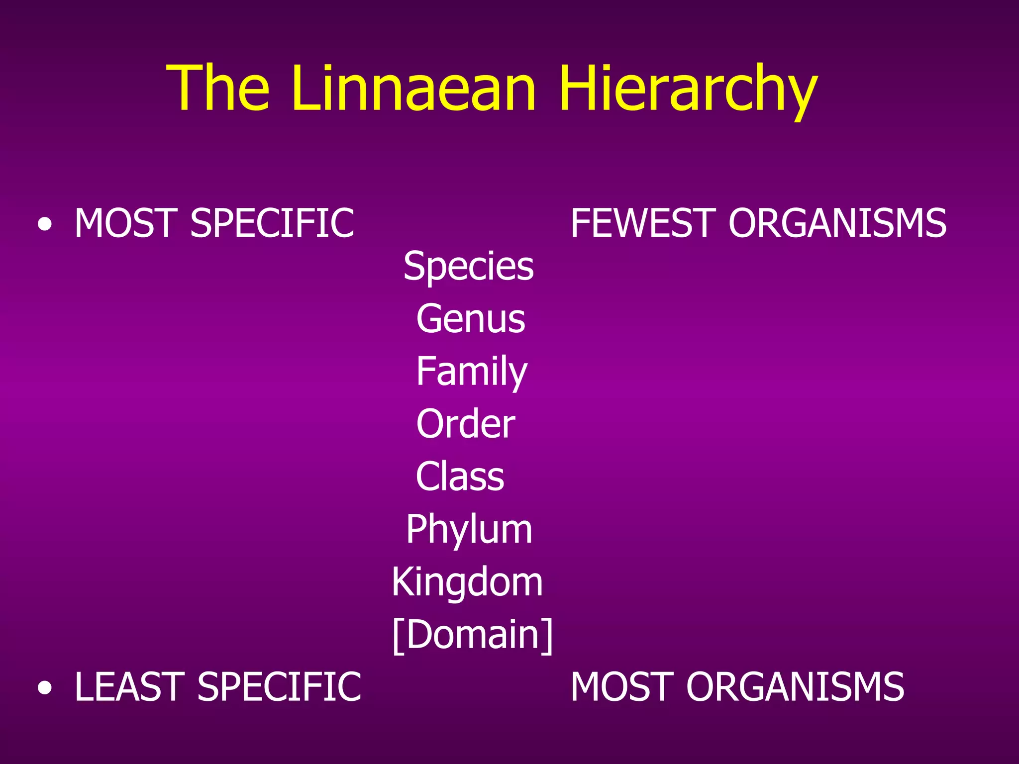 The Linnaean Hierarchy MOST SPECIFIC   FEWEST ORGANISMS   Species   Genus   Family   Order   Class   Phylum   Kingdom   [Domain] LEAST SPECIFIC    MOST ORGANISMS 
