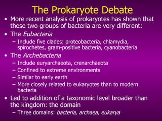 The Prokaryote Debate More recent analysis of prokaryotes has shown that these two groups of bacteria are very different: The  Eubacteria   Include five clades: proteobacteria, chlamydia, spirochetes, gram-positive bacteria, cyanobacteria The  Archebacteria   Include euryarchaeota, crenarchaeota Confined to extreme environments  Similar to early earth More closely related to eukaryotes than to modern bacteria Led to addition of a taxonomic level broader than the kingdom: the domain Three domains:  bacteria, archaea, eukarya 