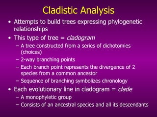 Cladistic Analysis Attempts to build trees expressing phylogenetic relationships This type of tree =  cladogram A tree constructed from a series of dichotomies (choices) 2-way branching points Each branch point represents the divergence of 2 species from a common ancestor Sequence of branching symbolizes chronology Each evolutionary line in cladogram =  clade A monophyletic group Consists of an ancestral species and all its descendants 