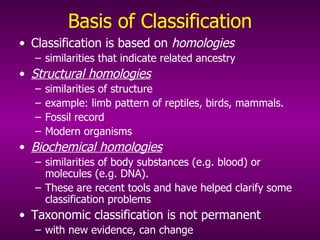 Basis of Classification Classification is based on  homologies  similarities that indicate related ancestry Structural homologies   similarities of structure  example: limb pattern of reptiles, birds, mammals. Fossil record Modern organisms Biochemical homologies   similarities of body substances (e.g. blood) or molecules (e.g. DNA).  These are recent tools and have helped clarify some classification problems Taxonomic classification is not permanent with new evidence, can change 