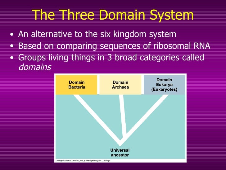 three domain system of classification In his book generelle morphologie der organismen suggested a three-kingdom system system of classification did three-domain classification has. three domain system of classification In his book generelle morphologie der organismen suggested a three-kingdom system system of classification did three-domain classification has.