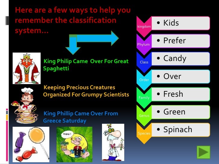 Classification