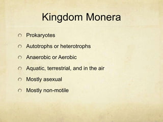 Gene flowDomainsEukaryaProkaryaArchaebacteria