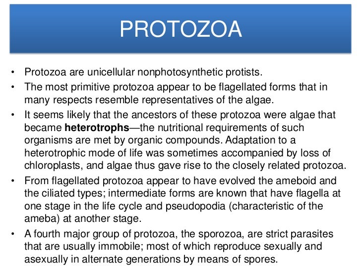 difference between virus and bacteria pdf