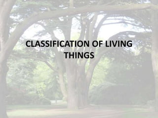 CLASSIFICATION OF LIVING
         THINGS
 