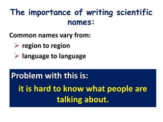 The importance of writing scientific
             names:
Common names vary from:
  region to region
  language to language

Problem with this is:
  it is hard to know what people are
              talking about.
 