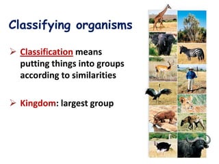 Classifying organisms

 Classification means
  putting things into groups
  according to similarities

 Kingdom: largest group
 