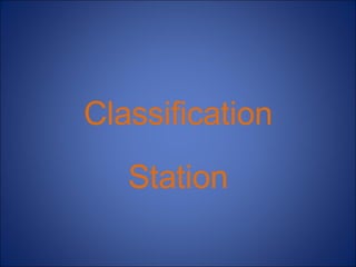 Classification Station 