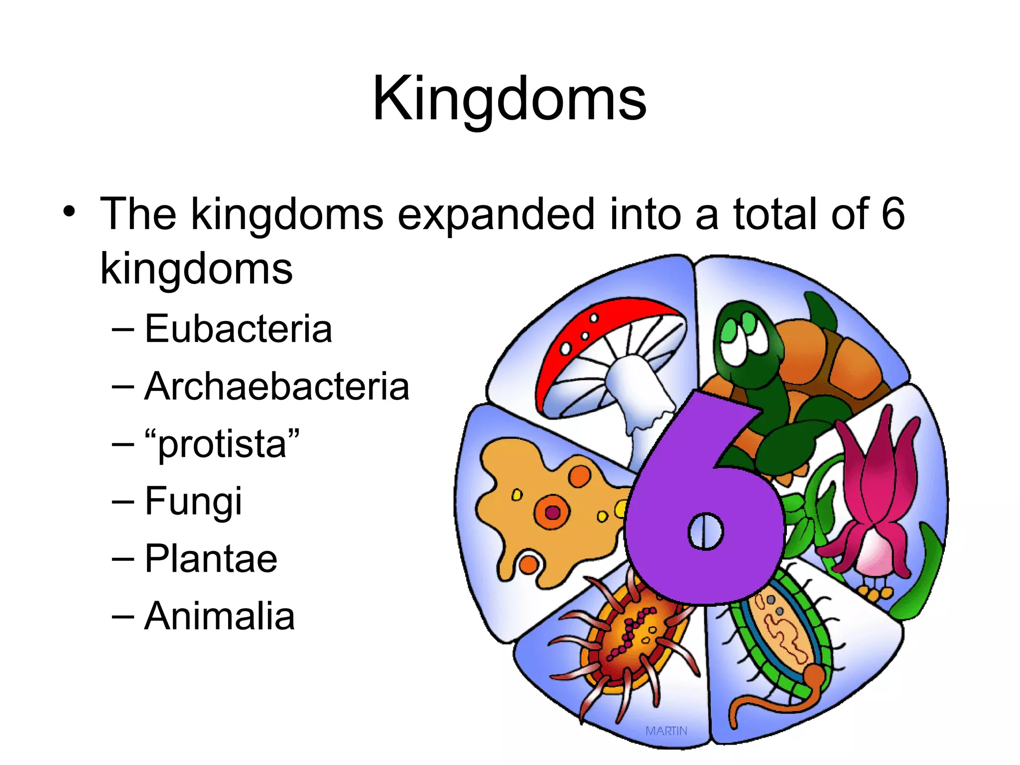 Kingdoms
• The kingdoms expanded into a total of 6
  kingdoms
  – Eubacteria
  – Archaebacteria
  – “protista”
  – Fungi
  – Plantae
  – Animalia
 