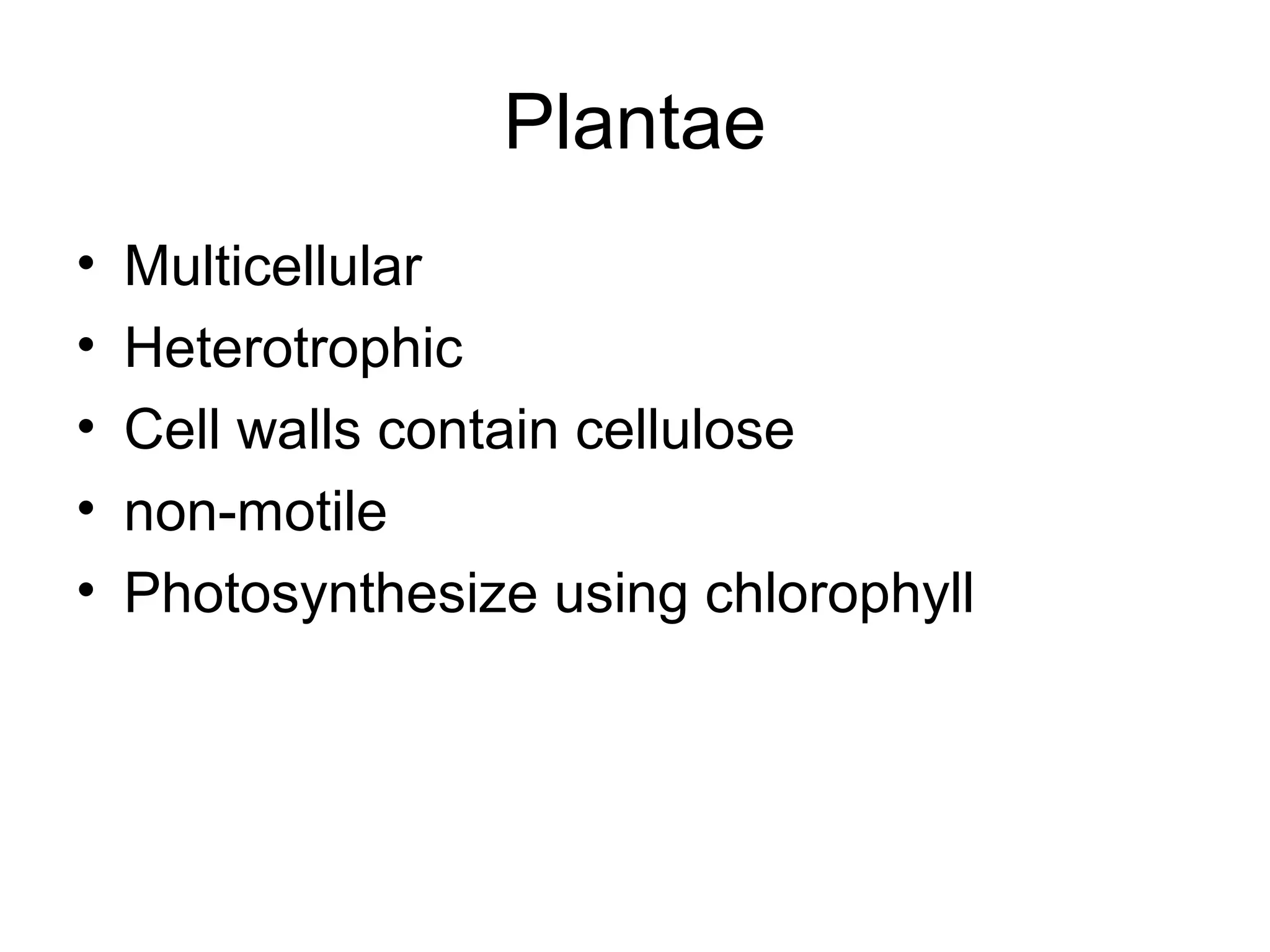 Plantae
•   Multicellular
•   Heterotrophic
•   Cell walls contain cellulose
•   non-motile
•   Photosynthesize using chlorophyll
 