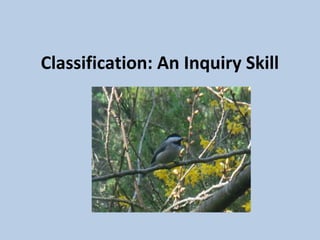 Classification: An Inquiry Skill
 