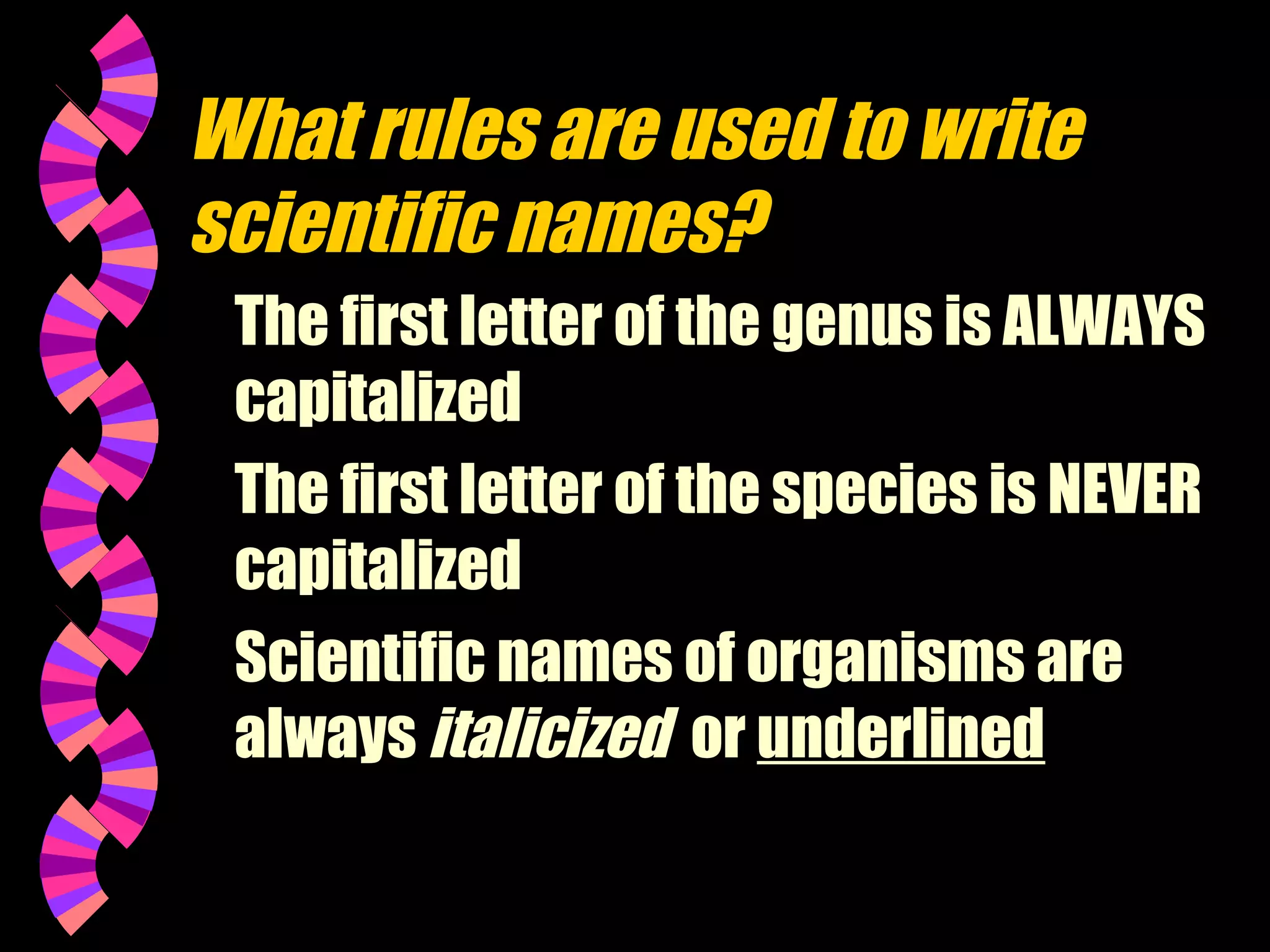 What rules are used to write
scientific names?
The first letter of the genus is ALWAYS
capitalized
The first letter of the species is NEVER
capitalized
Scientific names of organisms are
always italicized or underlined

 