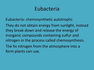 Eubacteria
Eubacteria: chemosynthetic autotrophs
They do not obtain energy from sunlight, instead
they break down and release the energy of
inorganic compounds containing sulfur and
nitrogen in the process called chemosynthesis.
The fix nitrogen from the atmosphere into a
form plants can use.
 