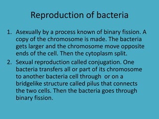 Reproduction of bacteria
1. Asexually by a process known of binary fission. A
copy of the chromosome is made. The bacteria
gets larger and the chromosome move opposite
ends of the cell. Then the cytoplasm split.
2. Sexual reproduction called conjugation. One
bacteria transfers all or part of its chromosome
to another bacteria cell through or on a
bridgelike structure called pilus that connects
the two cells. Then the bacteria goes through
binary fission.
 