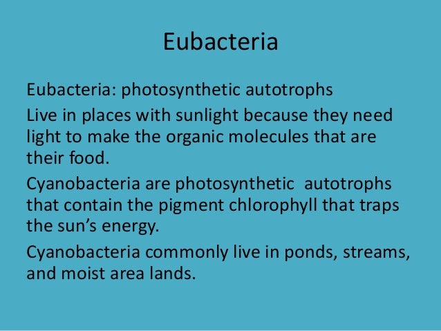 Classification and bacteria