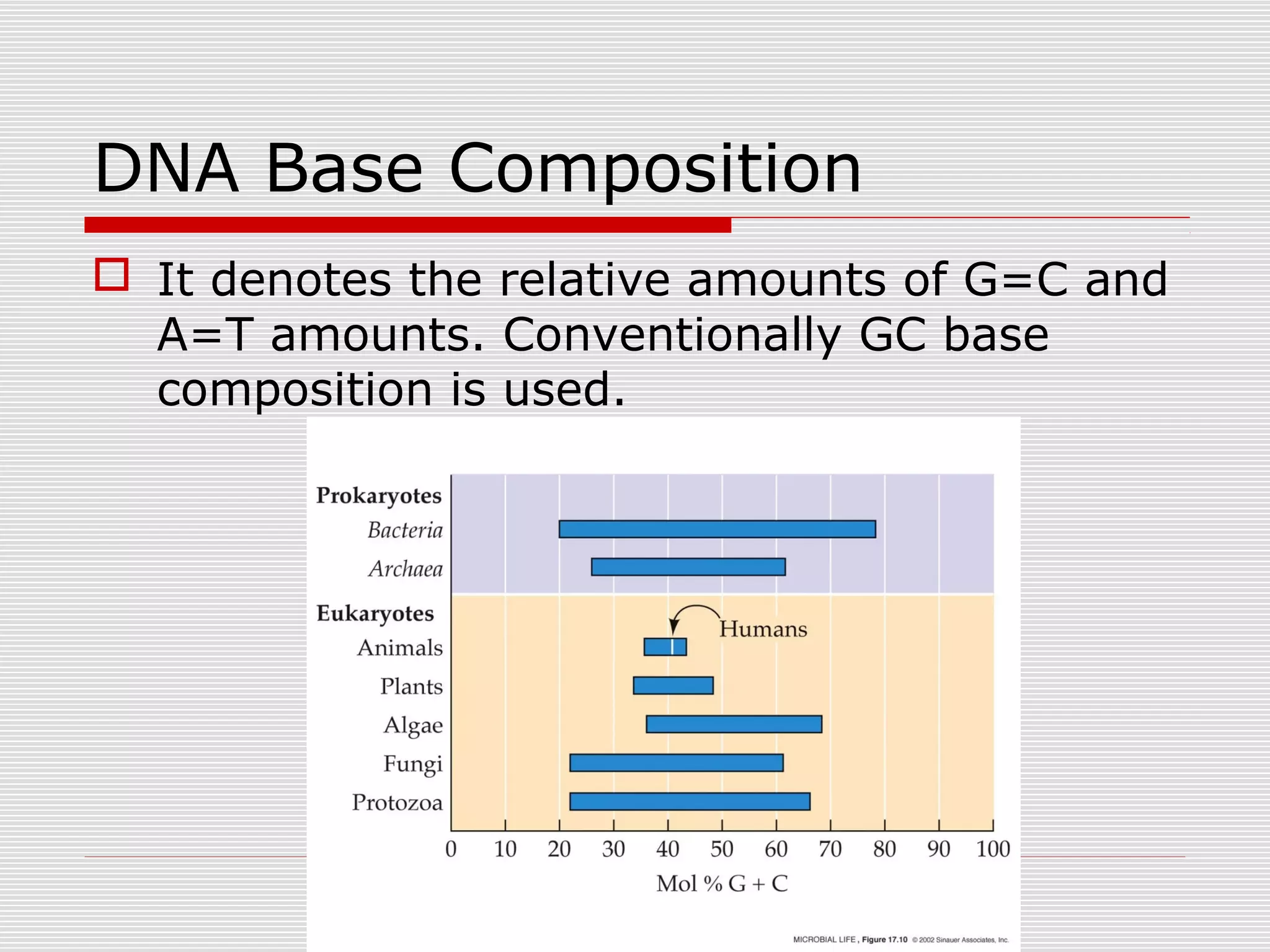 DNA Base Composition
 It denotes the relative amounts of G=C and
A=T amounts. Conventionally GC base
composition is used.
 