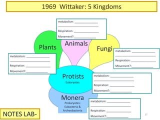 Phylogenetic tree
17
 