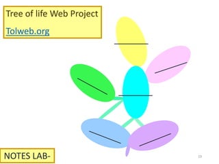 1969 Whittaker: 5 Kingdoms
Protists
Monera
Plants
Animals
Fungi
Prokaryotes:
Eubacteria &
Archeobacteria
Eukaryotes
Absorb & photosynthesize
Asexual Reproduction
Absorb & photosynthesize
Asexual & Sexual Reproduction
Photosynthesize
Asexual & Sexual Reproduction
Non-mobile
Ingest
Asexual & Sexual Reproduction
mobile
Absorb
Sexual Reproduction
Non-mobile
19
 
