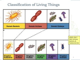 4
CC video: comparative
anatomy (10 min)
 
