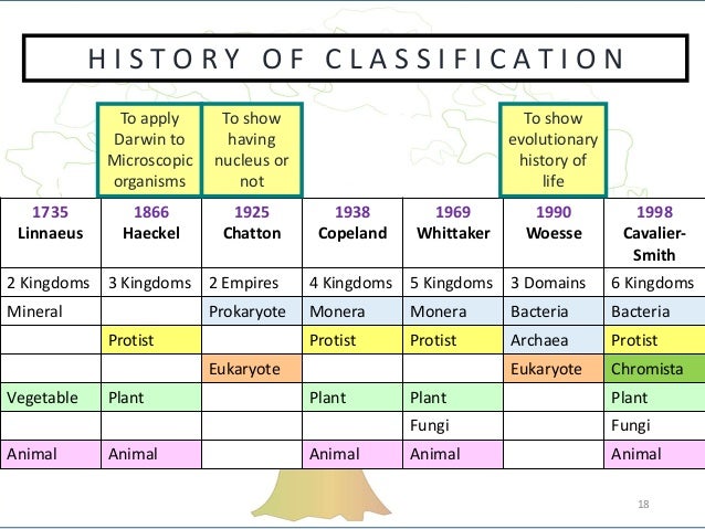 Genetics 1: Classification- Kingdoms & Cladograms