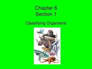 Chapter 6
Section 1
Classifying Organisms
 