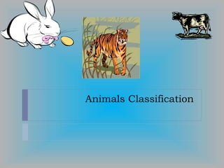 Animals Classification
 