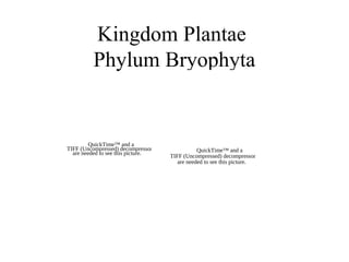 Kingdom Plantae
Phylum Bryophyta
QuickTime™ and a
TIFF (Uncompressed) decompressor
are needed to see this picture.
QuickTime™ and a
TIFF (Uncompressed) decompressor
are needed to see this picture.
 