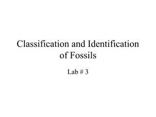 Classification and Identification
of Fossils
Lab # 3
 