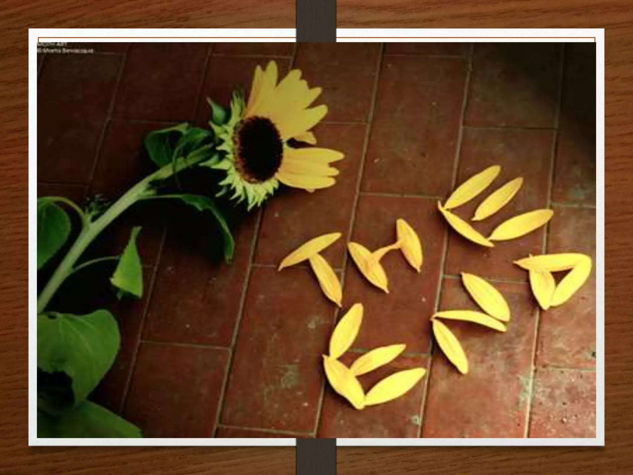 Brief Discrimination of Classification of Computer