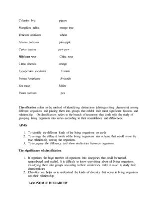 Columba livia pigeon
Mangifera indica mango tree
Triticum aestivum wheat
Ananas comosus pineapple
Carica papaya paw paw
Hibiscus rose China rose
Citrus sinensis orange
Lycopersion esculanta Tomato
Persea Americana Avocado
Zea mays Maize
Pisum sativum pea
Classification refers to the method of identifying distinctions (distinguishing characters) among
different organisms and placing them into groups that exhibit their most significant features and
relationship. Or classification refers to the branch of taxonomy that deals with the study of
grouping living organism into series according to their resemblance and differences.
AIMS
1. To identify the different kinds of the living organisms on earth
2. To arrange the different kinds of the living organisms into scheme that would show the
true relationship among the organisms.
3. To recognize the difference and show similarities between organisms.
The significance of classification
1. It organizes the huge number of organisms into categories that could be named,
remembered and studied. It is difficult to know everything about all living organisms.
classifying them into groups according to their similarities make it easier to study their
characteristics
2. Classification helps us to understand the kinds of diversity that occur in living organisms
and their relationship.
TAXONOMIC HIERARCHY
 
