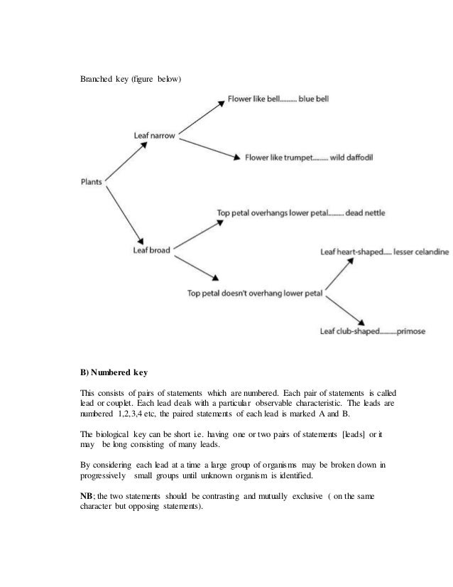 Classification