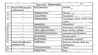 Insect Systematics insect taxonomy importance systematics and classification | PPTX
