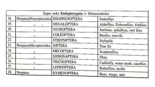 Insect Systematics insect taxonomy importance systematics and classification | PPTX