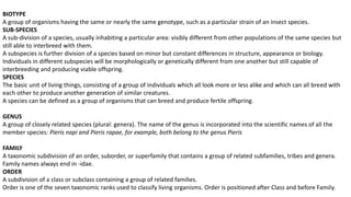 Insect Division insect taxonomy importance systematics and classification | PPTX