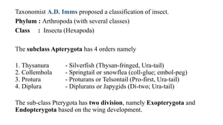 Telsontail Insect Development of Insects classification | PPTX