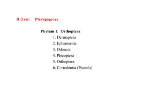 Development of Insects classification | PPTX